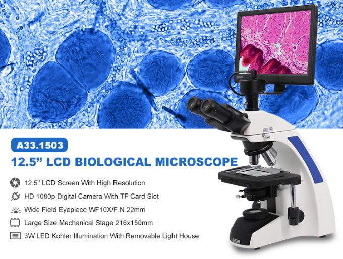 microscopio ψηφιακό LCD