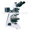 Learning Cordless Polarizing Light Microscope Rohs CE A15.2602