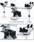 1000x Multi Viewing Microscope Penta Head Microscopes A17.1013-C